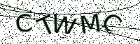 L’image captcha