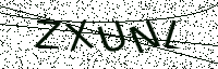 L’image captcha