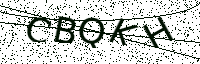 L’image captcha